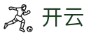开云KAIYUN · 官方入口 - 官方电脑版登录页